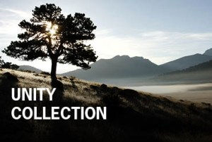 unity_collection